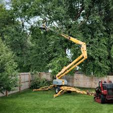 Best Arborist Consultation Services  in New Hartford Center, CT